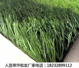 新聞 微山人工草皮價(jià)格生產(chǎn)廠家