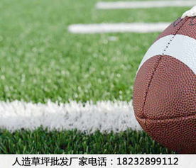 新聞 內(nèi)蒙古固陽人造草坪廠家排名 品種齊全