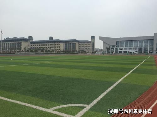 人造草坪質(zhì)量標(biāo)準(zhǔn)有哪些