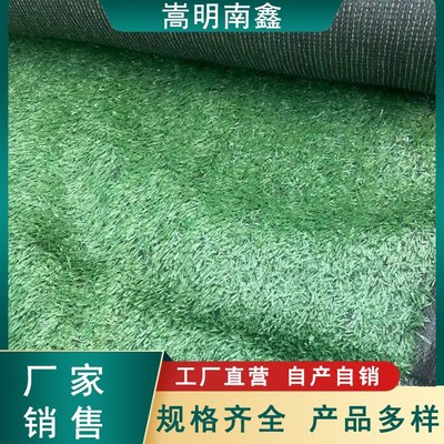 塑料草坪人造草皮戶外裝飾假草屋頂工地小草圍擋