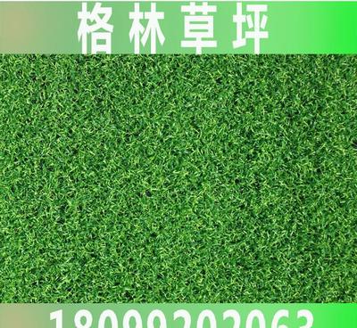 【無(wú)錫格林人造草坪廠家推薦 裝飾景觀草坪 G013】?jī)r(jià)格_廠家_圖片