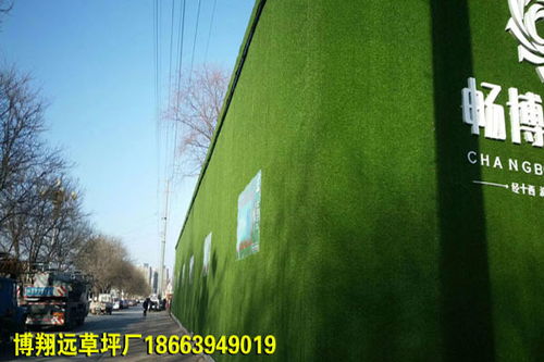密度高防綠草皮墻面每平方米價格是多少 興安
