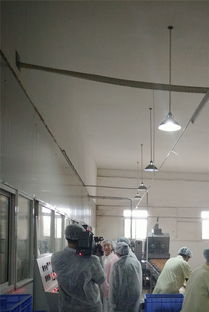 祝賀宜昌華爾食品公司榮獲市食品示范企業(yè)稱號，引領餅干行業(yè)新發(fā)展