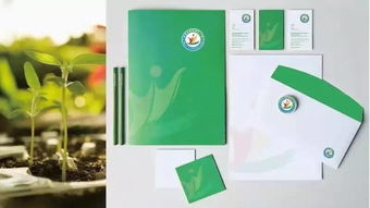 卓藝匠心 淄博高新區(qū)第五小學品牌形象與校園文化設計融合軟件設計新思維